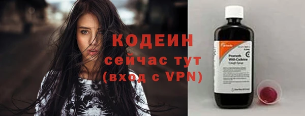 сатива Покачи