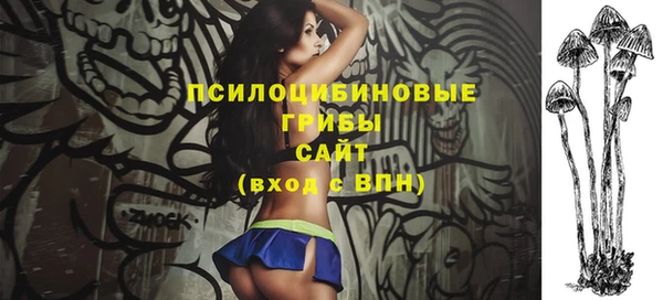 винт Абаза