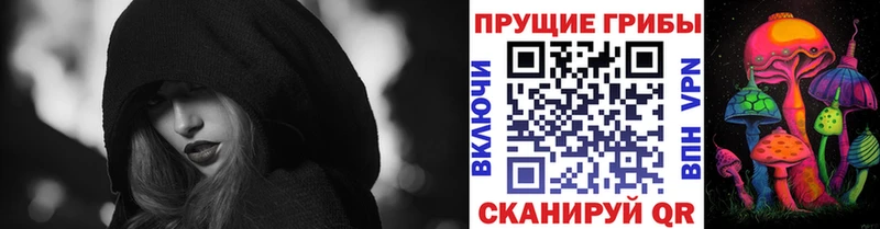 купить наркотики сайты  Алзамай  мега онион  Галлюциногенные грибы MAGIC MUSHROOMS 
